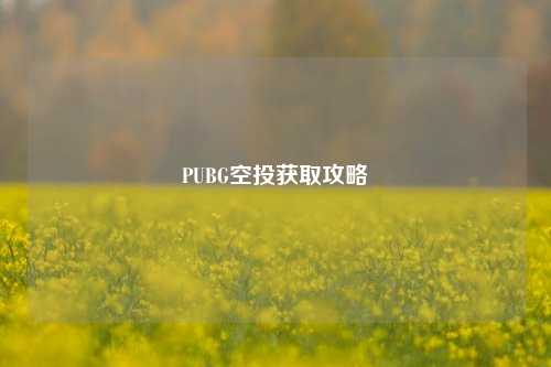 PUBG空投获取攻略