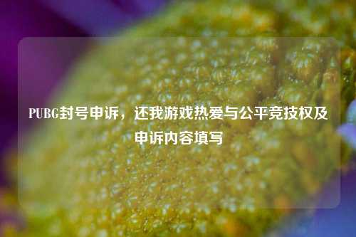PUBG封号申诉,还我游戏热爱与公平竞技权及申诉内容填写