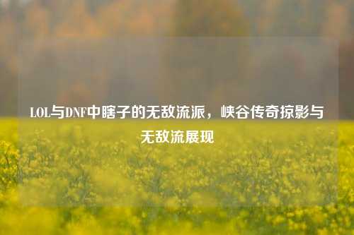 LOL与DNF中瞎子的无敌流派,峡谷传奇掠影与无敌流展现