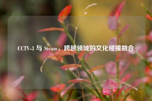CCTV-3 与 Steam，跨越领域的文化碰撞融合