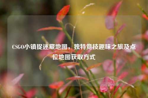 CSGO小镇捉迷藏地图，独特竞技趣味之旅及点位地图获取方式