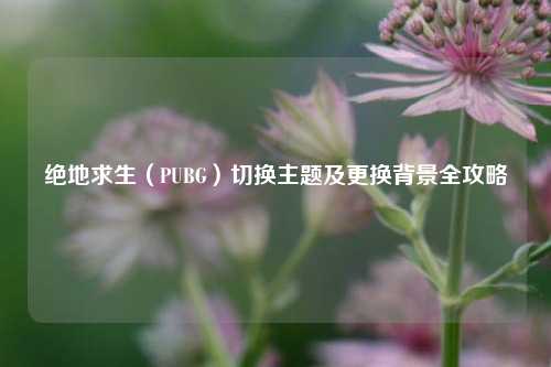 绝地求生(PUBG)切换主题及更换背景全攻略