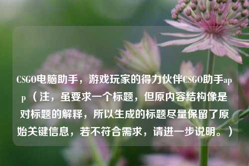 CSGO电脑助手,游戏玩家的得力伙伴CSGO助手app (注,虽要求一个标题,但原内容结构像是对标题的解释,所以生成的标题尽量保留了原始关键信息,若不符合需求,请进一步说明。)
