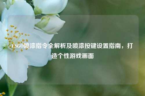 CSGO喷漆指令全解析及喷漆按键设置指南，打造个性游戏画面