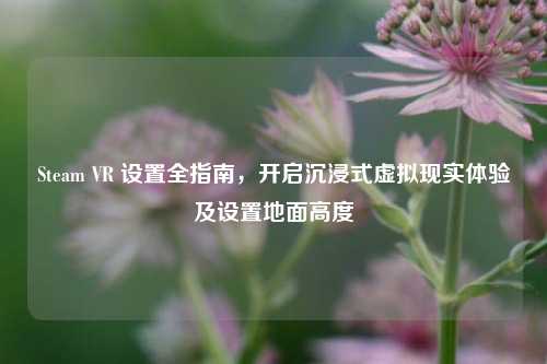 Steam VR 设置全指南,开启沉浸式虚拟现实体验及设置地面高度