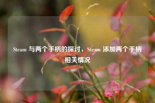 Steam 与两个手柄的探讨，Steam 添加两个手柄相关情况