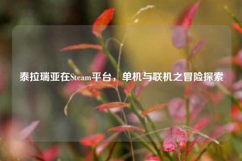 泰拉瑞亚在Steam平台，单机与联机之冒险探索