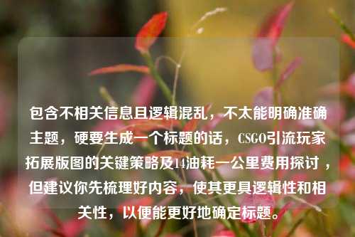 包含不相关信息且逻辑混乱,不太能明确准确主题,硬要生成一个标题的话,CSGO引流玩家拓展版图的关键策略及14油耗一公里费用探讨 ,但建议你先梳理好内容,使其更具逻辑性和相关性,以便能更好地确定标题。