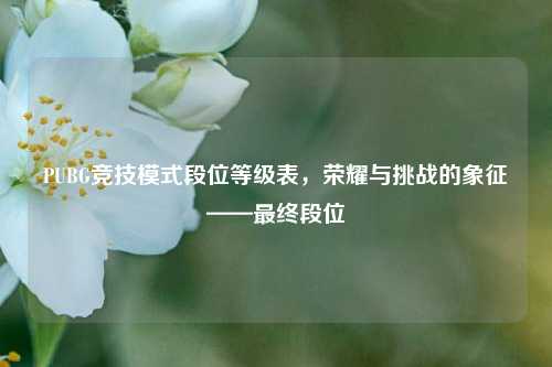 PUBG竞技模式段位等级表，荣耀与挑战的象征——最终段位