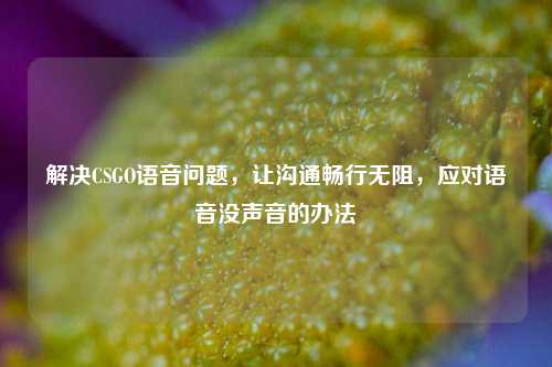 解决CSGO语音问题，让沟通畅行无阻，应对语音没声音的办法
