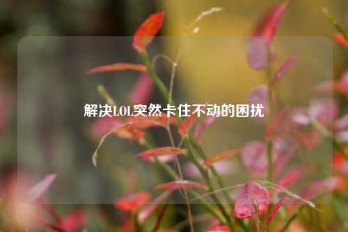 解决LOL突然卡住不动的困扰