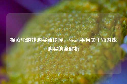 探索VR游戏购买新途径，Steam平台关于VR游戏购买的全解析