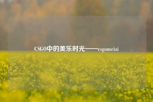 CSGO中的美乐时光——csgomeizi
