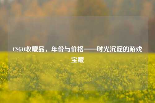 CSGO收藏品,年份与价格——时光沉淀的游戏宝藏
