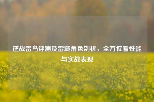 逆战雷鸟评测及雷藏角色剖析,全方位看性能与实战表现