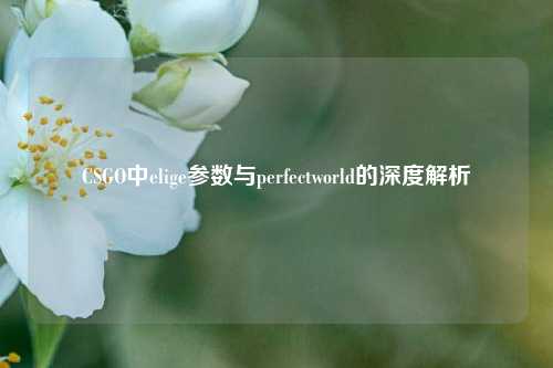 CSGO中elige参数与perfectworld的深度解析