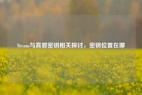 Steam与育碧密钥相关探讨，密钥位置在哪