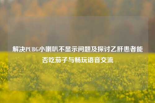 解决PUBG小喇叭不显示问题及探讨乙肝患者能否吃茄子与畅玩语音交流