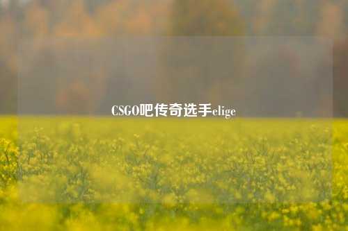 CSGO吧传奇选手elige