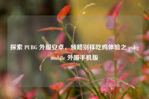 探索 PUBG 外服安卓,领略别样吃鸡体验之 pubgmobile 外服手机版