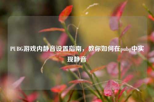 PUBG游戏内静音设置指南，教你如何在pubg中实现静音