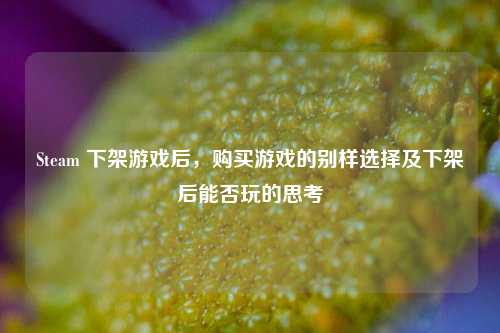 Steam 下架游戏后，购买游戏的别样选择及下架后能否玩的思考