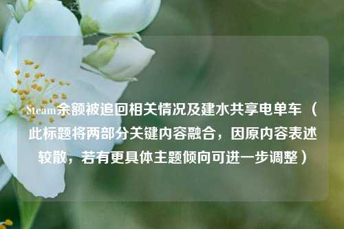 Steam余额被追回相关情况及建水共享电单车 （此标题将两部分关键内容融合，因原内容表述较散，若有更具体主题倾向可进一步调整）