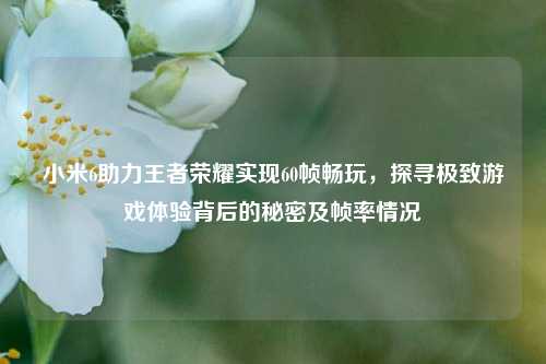 小米6助力王者荣耀实现60帧畅玩，探寻极致游戏体验背后的秘密及帧率情况
