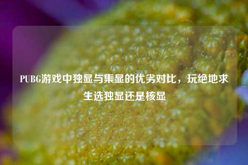 PUBG游戏中独显与集显的优劣对比，玩绝地求生选独显还是核显