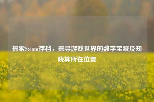 探索Steam存档，探寻游戏世界的数字宝藏及知晓其所在位置
