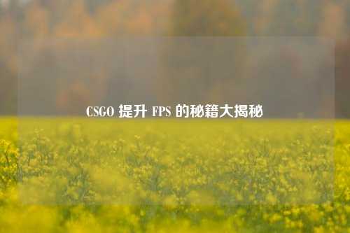 CSGO 提升 FPS 的秘籍大揭秘