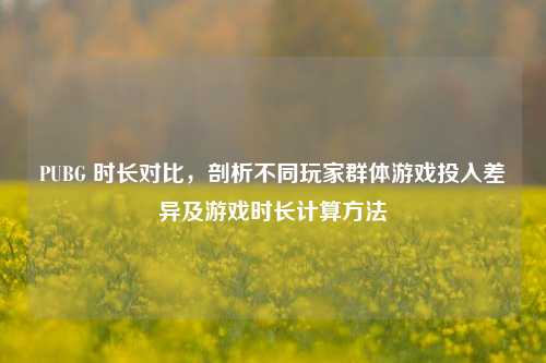 PUBG 时长对比，剖析不同玩家群体游戏投入差异及游戏时长计算方法