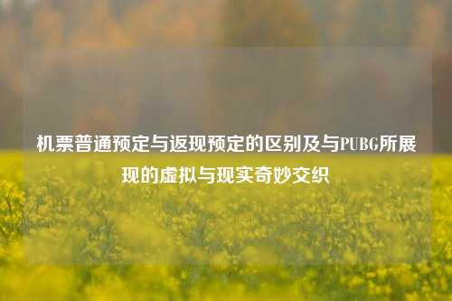 机票普通预定与返现预定的区别及与PUBG所展现的虚拟与现实奇妙交织