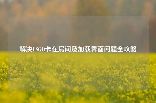 解决CSGO卡在房间及加载界面问题全攻略