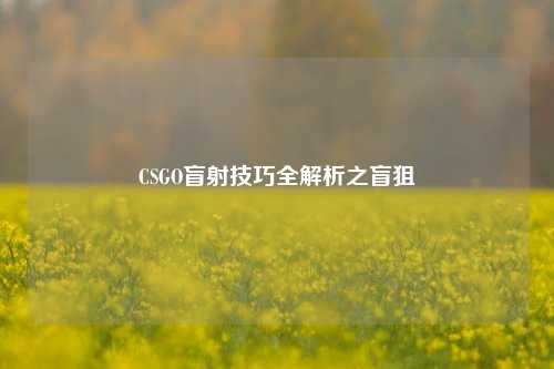 CSGO盲射技巧全解析之盲狙