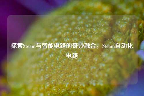 探索Steam与智能电路的奇妙融合,Steam自动化电路