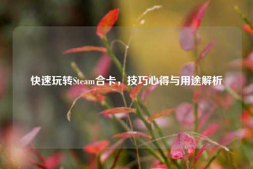 快速玩转Steam合卡，技巧心得与用途解析