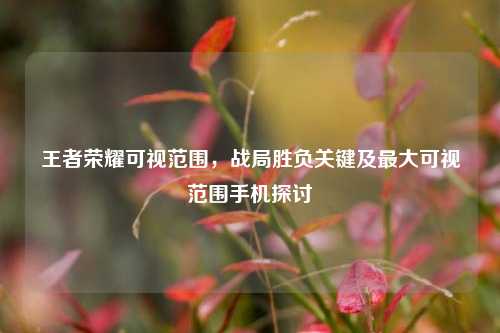 王者荣耀可视范围，战局胜负关键及最大可视范围手机探讨