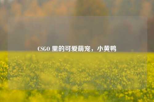 CSGO 里的可爱萌宠，小黄鸭