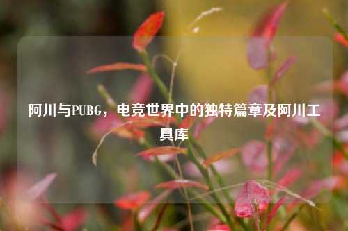 阿川与PUBG，电竞世界中的独特篇章及阿川工具库