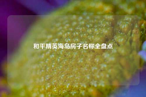 和平精英海岛房子名称全盘点