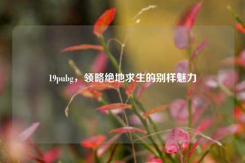 19pubg，领略绝地求生的别样魅力
