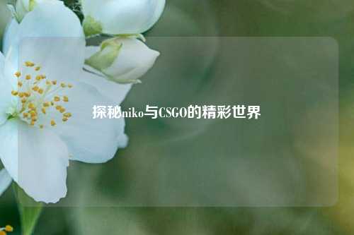 探秘niko与CSGO的精彩世界