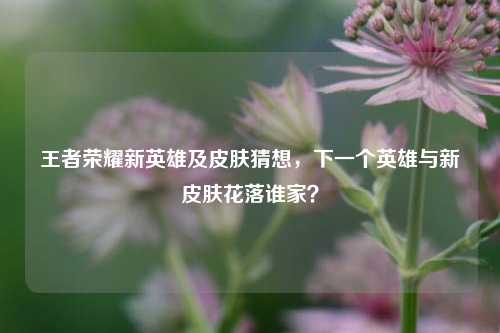 王者荣耀新英雄及皮肤猜想，下一个英雄与新皮肤花落谁家？