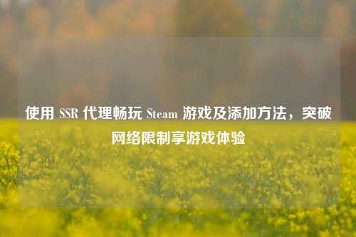 使用 SSR 代理畅玩 Steam 游戏及添加方法，突破网络限制享游戏体验