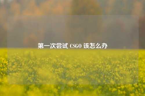 第一次尝试 CSGO 该怎么办