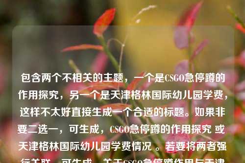 包含两个不相关的主题，一个是CSGO急停蹲的作用探究，另一个是天津格林国际幼儿园学费，这样不太好直接生成一个合适的标题。如果非要二选一，可生成，CSGO急停蹲的作用探究 或 天津格林国际幼儿园学费情况 。若要将两者强行关联，可生成，关于CSGO急停蹲作用与天津格林国际幼儿园学费的杂谈 。 但整体感觉关联性不强，你可以检查下内容，以便我更准确地为你生成标题 。