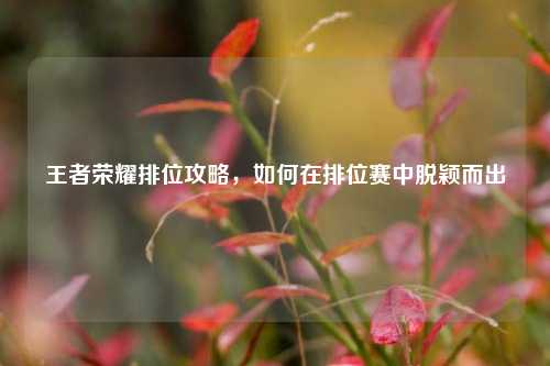 王者荣耀排位攻略，如何在排位赛中脱颖而出