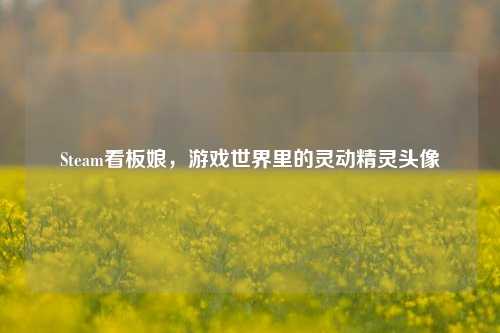 Steam看板娘，游戏世界里的灵动精灵头像