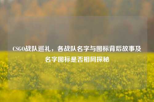 CSGO战队巡礼，各战队名字与图标背后故事及名字图标是否相同探秘